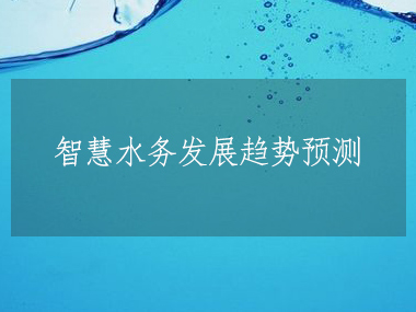 2023-2028年全球及中國智慧水務行業發展分析