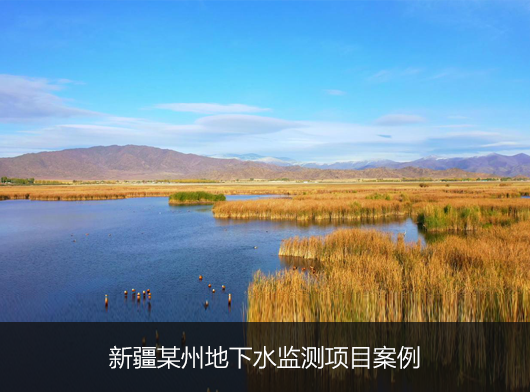 新疆某州地下水位監測項目案例分享