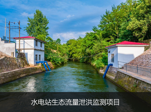 水電站生態流量泄洪監測項目